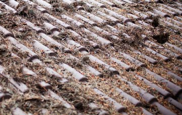 St Peter The Great roof cleaning companies